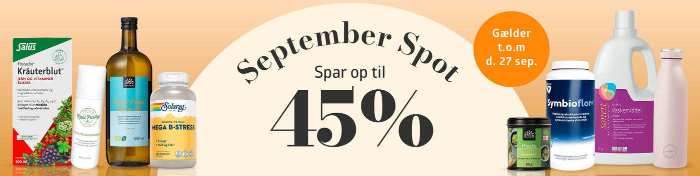 September Spot