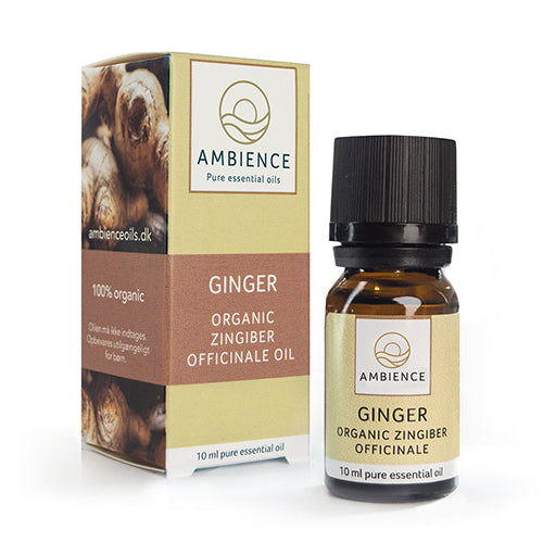 Ambience Ingefær Olie, Øko | 10 ml fra Ambience på Mecindo.dk
