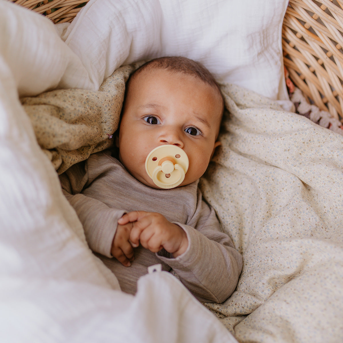 BIBS Colour Latex Size 2 Ivory/Dark Oak 2 PACK fra BIBS på Mecindo.dk