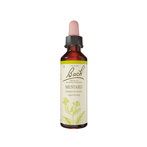 Bach Dråber Agersennep | 10 ml fra Bach Originale Blomsterremedier på Mecindo.dk