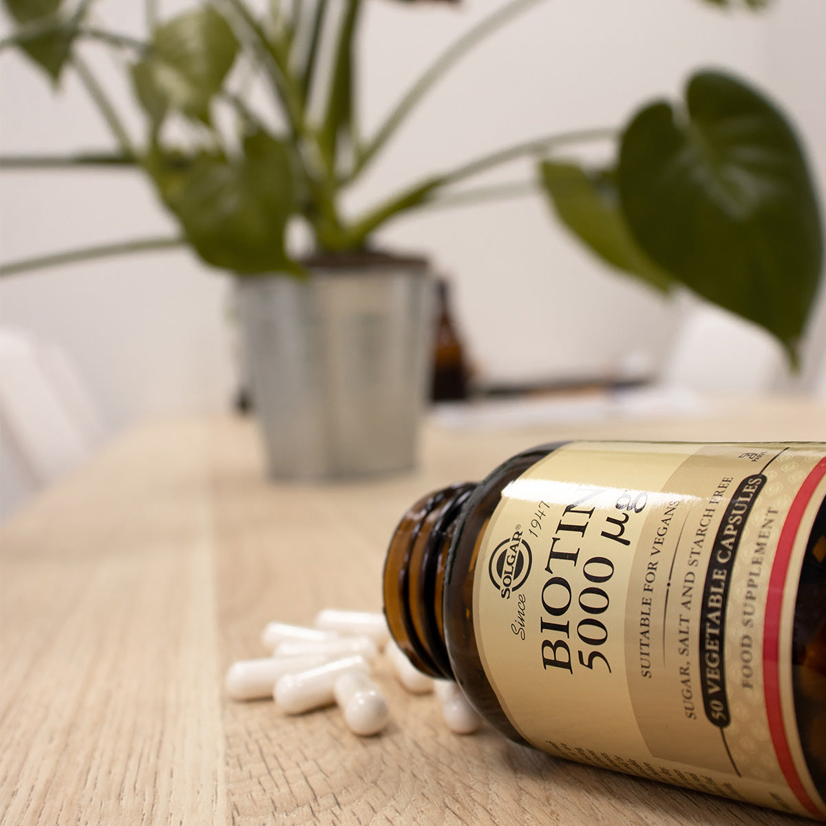 Solgar Biotin 5000 Ug | 50 kapsler fra Solgar på Mecindo.dk