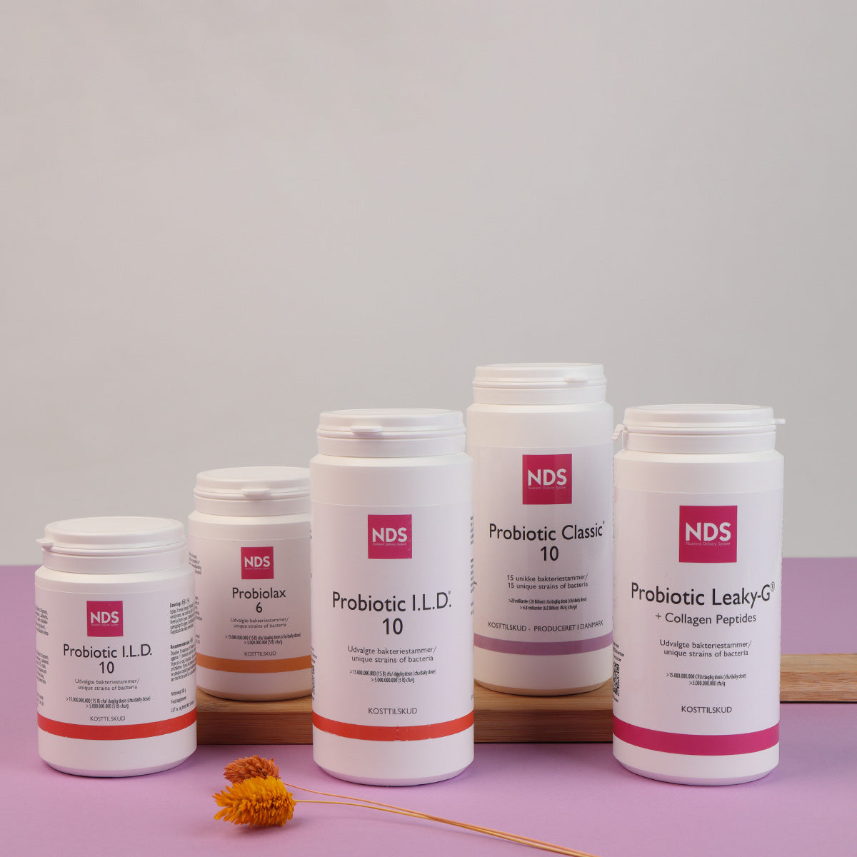 NDS Probiolax 6 | 100 gr fra NDS på Mecindo.dk