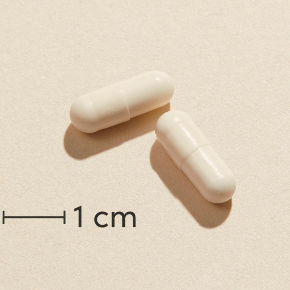 Biosym Symbioflor+ | 60 kapsler fra Biosym på Mecindo.dk