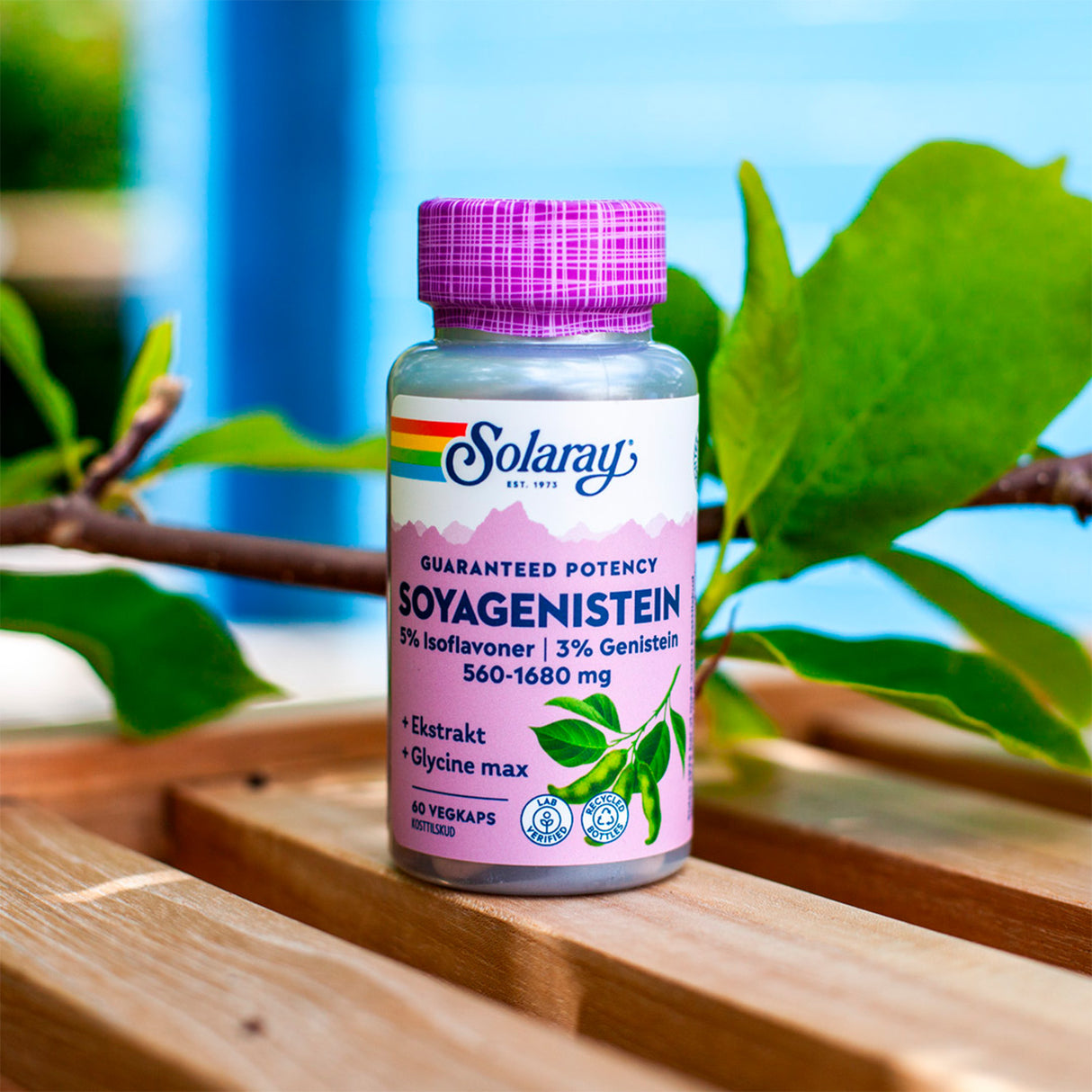 Solaray Soyagenistein | 60 kapsler fra Solaray på Mecindo.dk