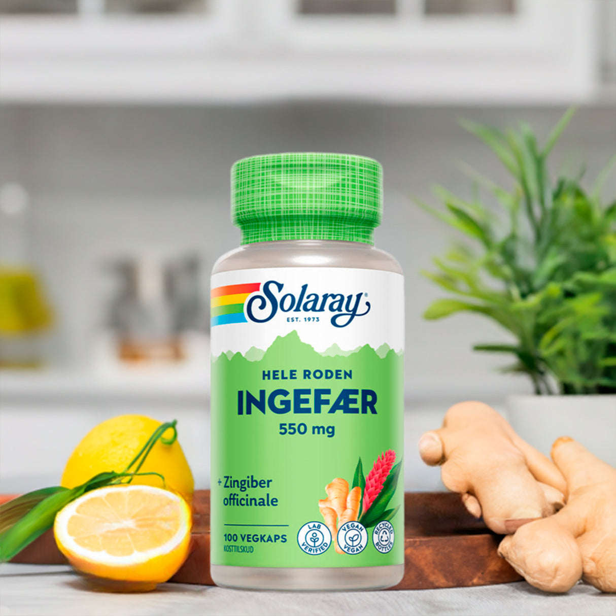 Solaray Ingefærrod | 100 kapsler fra Solaray på Mecindo.dk