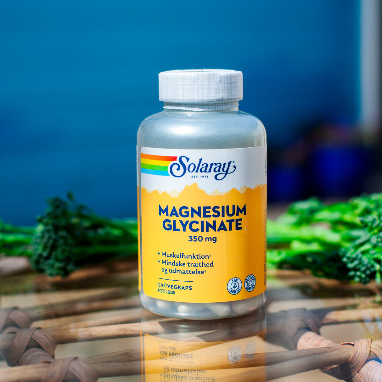 Solaray Magnesium Glycinate | 240 kapsler