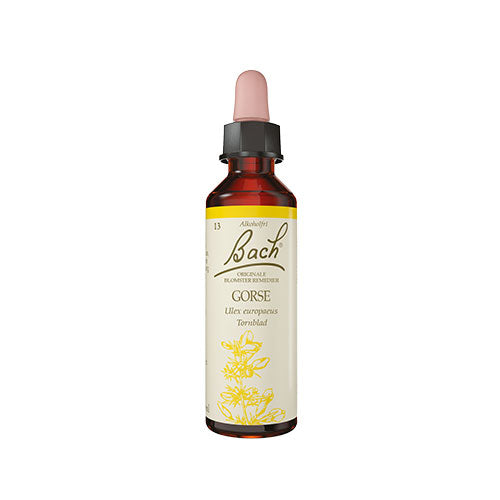 Bach Dråber Tornblad | 10 ml fra Bach Originale Blomsterremedier på Mecindo.dk