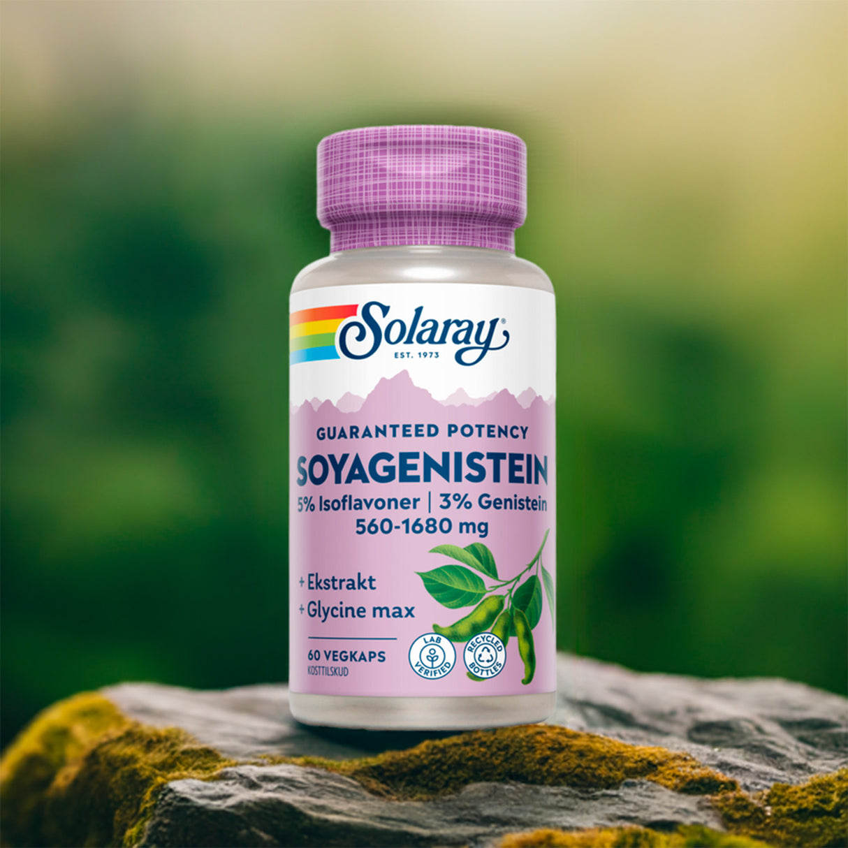 Solaray Soyagenistein | 60 kapsler fra Solaray på Mecindo.dk