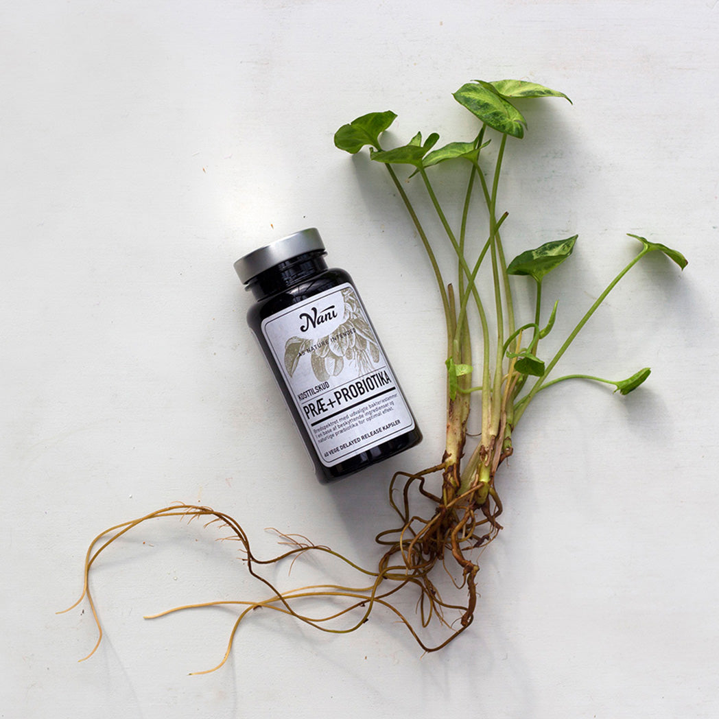 Nani Præ + Probiotika | 60 kapsler fra Nani på Mecindo.dk