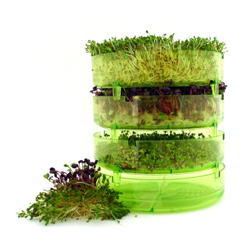 GEO Spire Sprouter fra GEO på Mecindo.dk