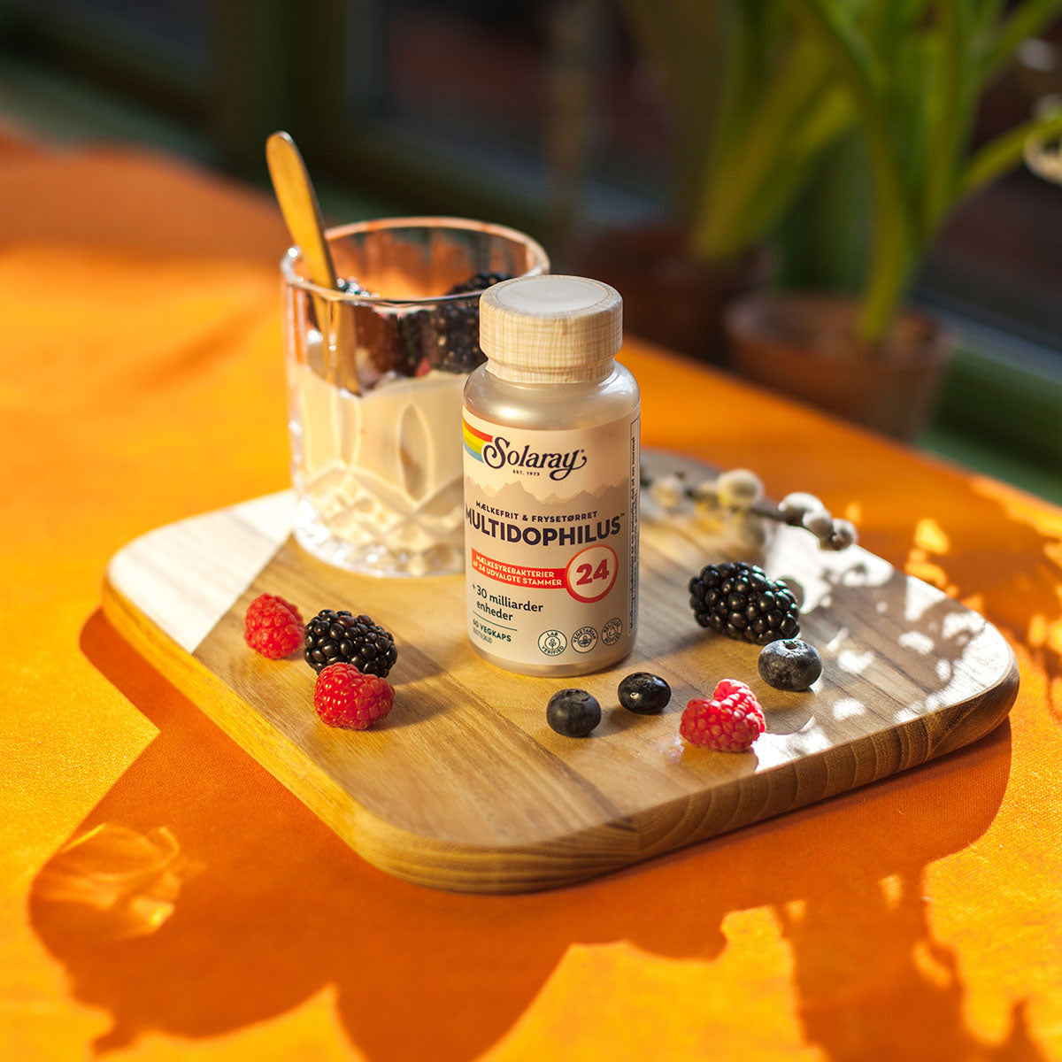 Solaray Multidophilus 24 | 60 kapsler fra Solaray på Mecindo.dk