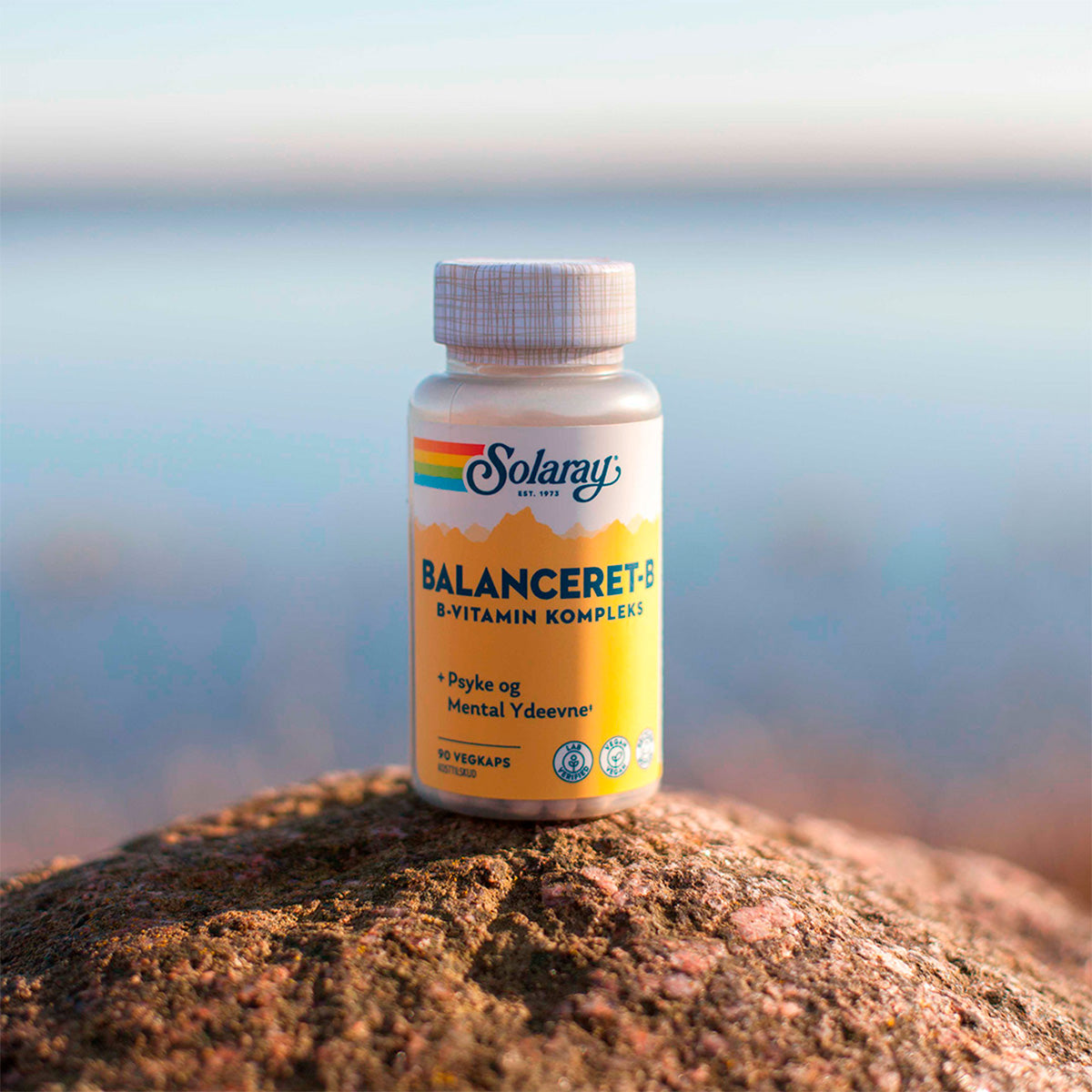 Solaray Balanceret-b | 90 kapsler fra Solaray på Mecindo.dk