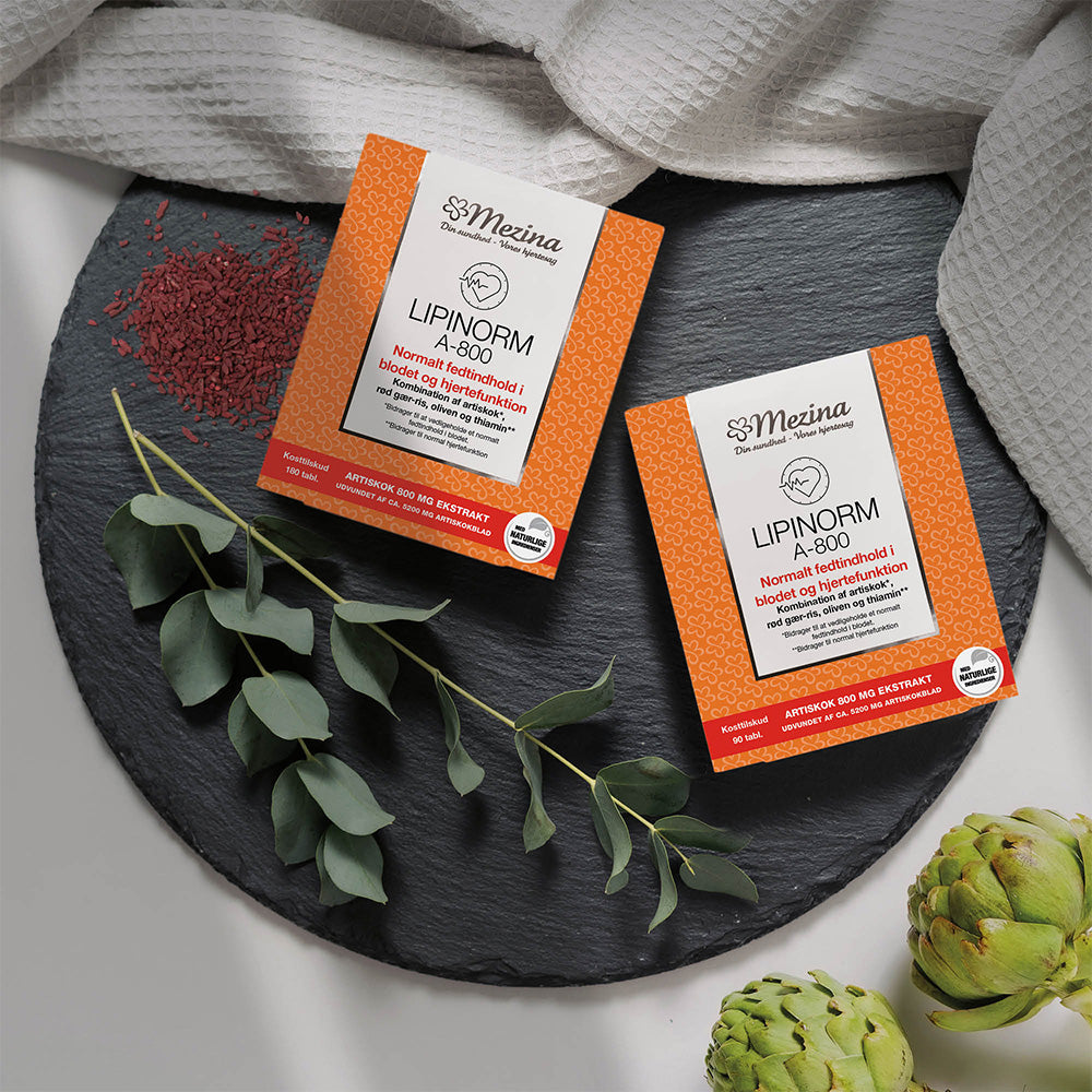 Mezina Lipinorm A-800 | 180 Tabl. fra Mezina på Mecindo.dk