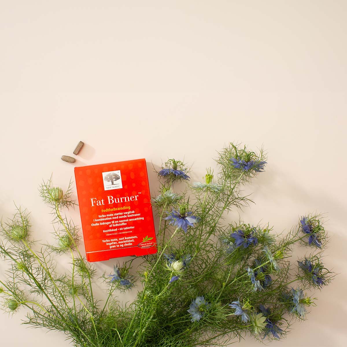 New Nordic Fat Burner | 60 Tabl. fra New Nordic på Mecindo.dk