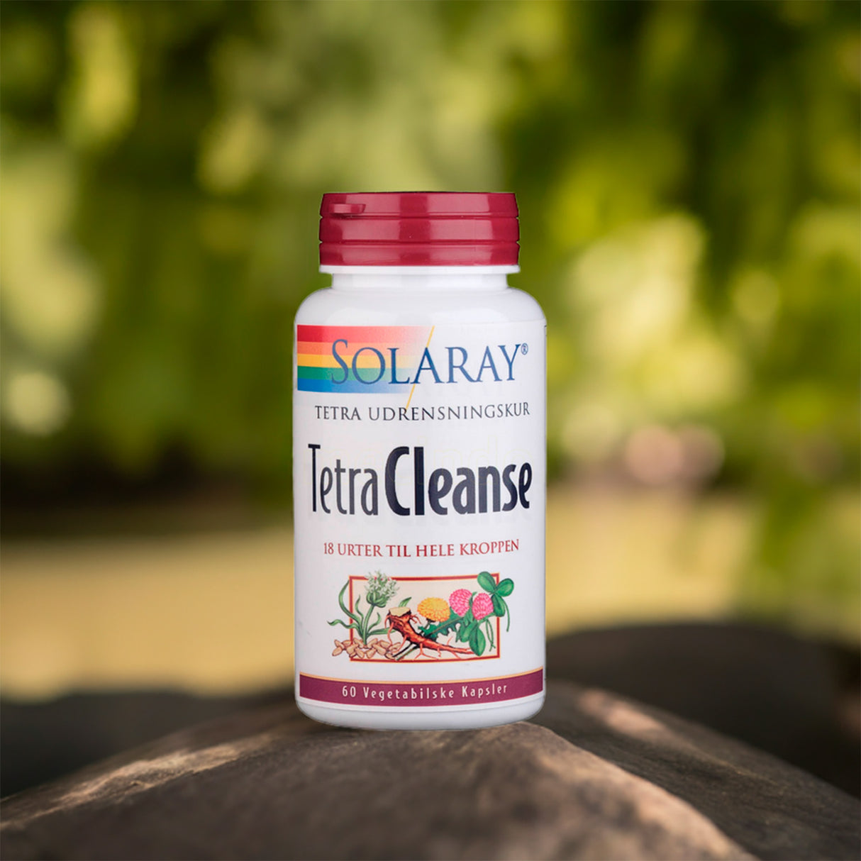 Solaray Tetracleanse | 60 kapsler fra Solaray på Mecindo.dk