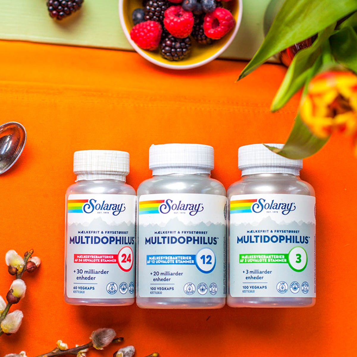 Solaray Multidophilus 24 | 60 kapsler fra Solaray på Mecindo.dk