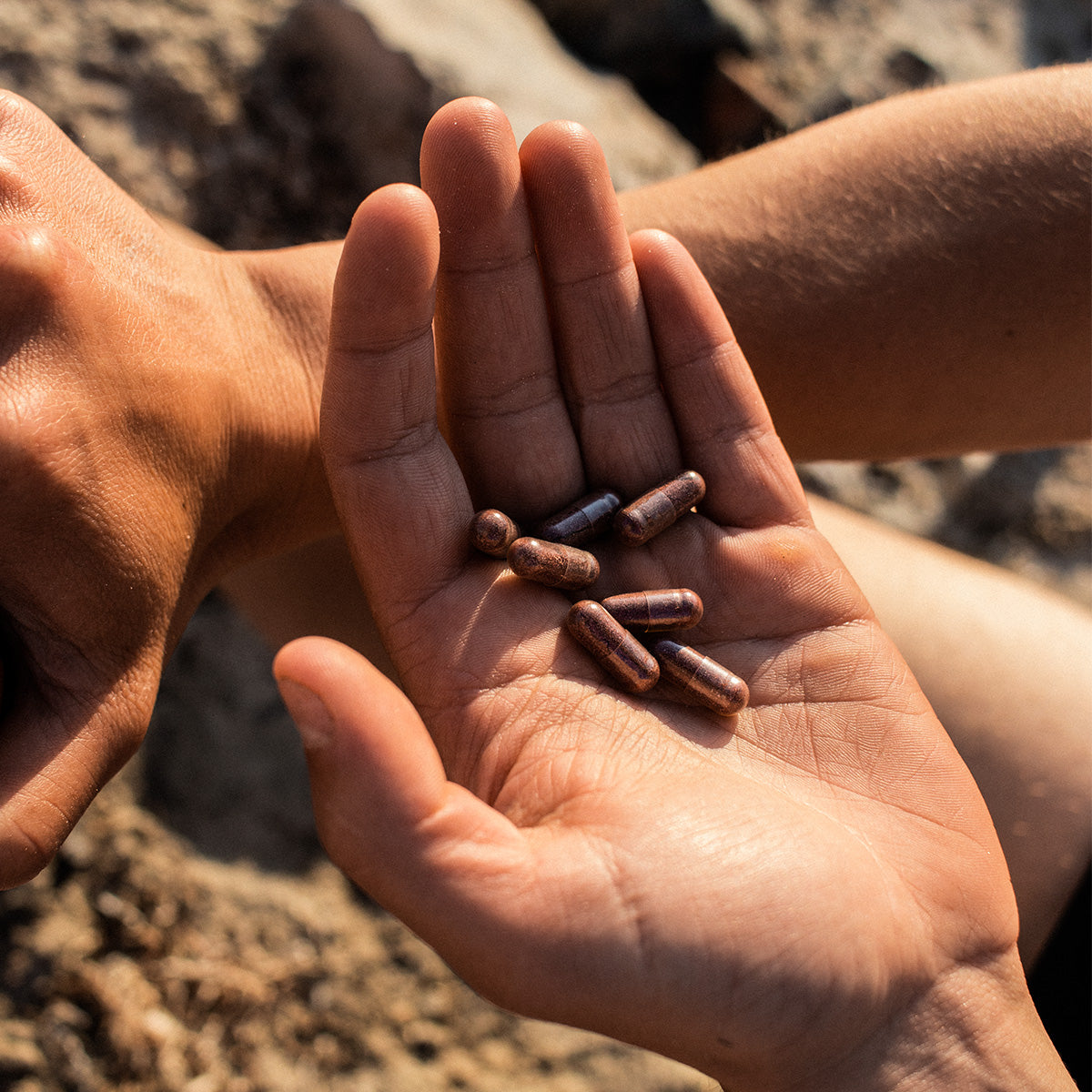 NORDBO Double Sun | 50 kapsler fra NORDBO på Mecindo.dk