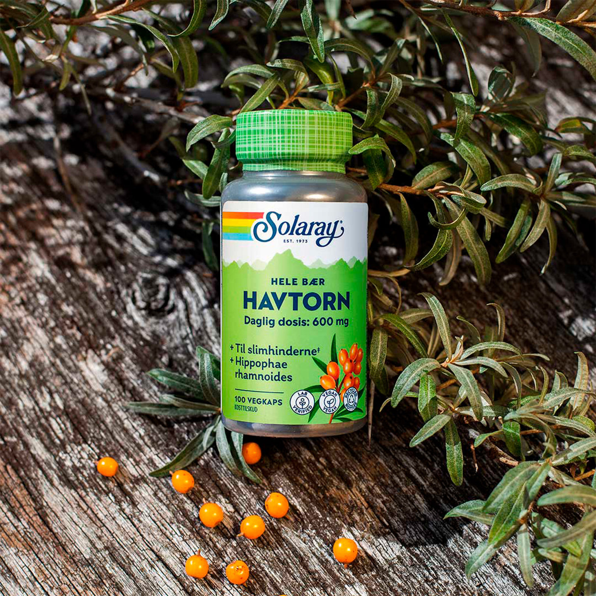 Solaray Havtorn | 100 kapsler fra Solaray på Mecindo.dk