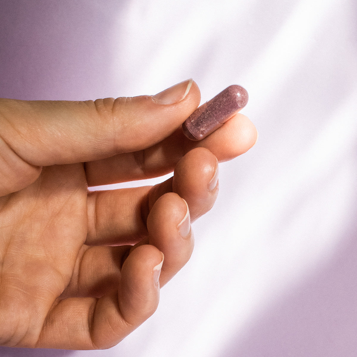 NORDBO Elderberry Defence | 60 kapsler fra NORDBO på Mecindo.dk