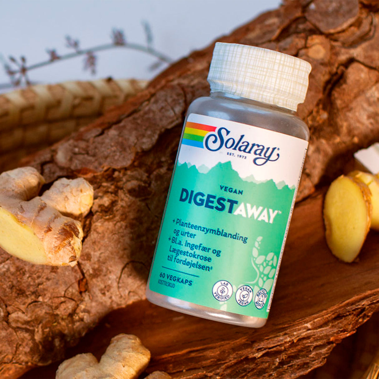 Solaray Digestaway | 60 kapsler fra Solaray på Mecindo.dk