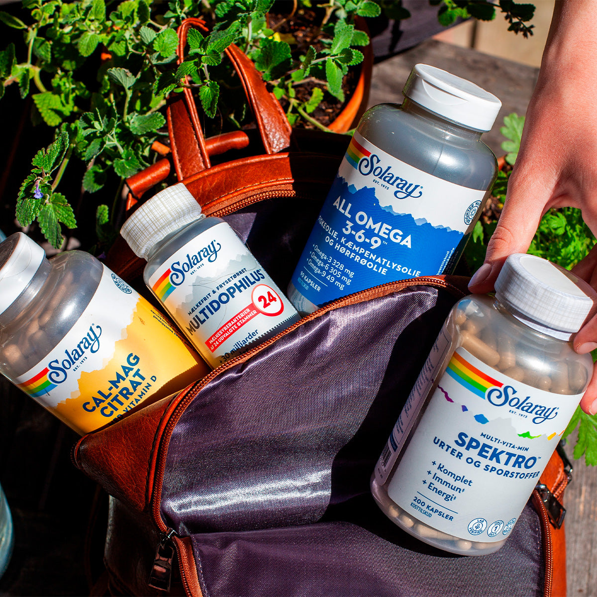 Solaray All Omega 3-6-9 | 90 kapsler fra Solaray på Mecindo.dk