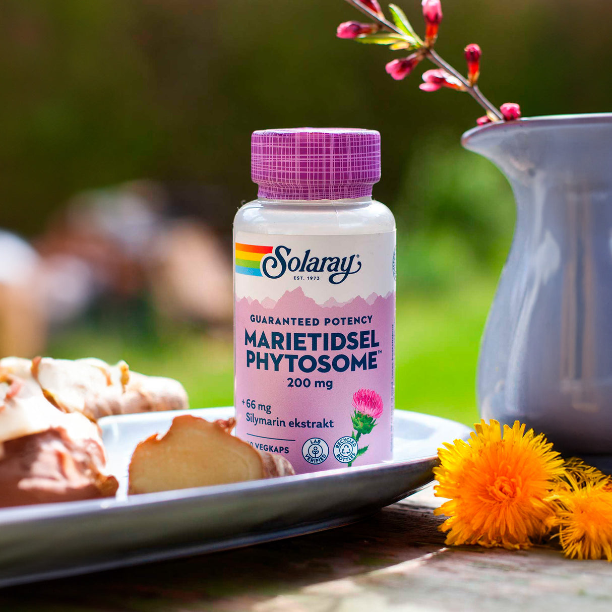 Solaray Marietidsel Phytosome | 30 kapsler fra Solaray på Mecindo.dk
