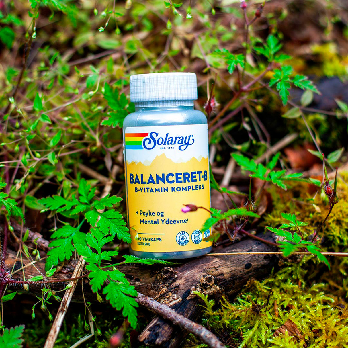 Solaray Balanceret-b | 90 kapsler fra Solaray på Mecindo.dk