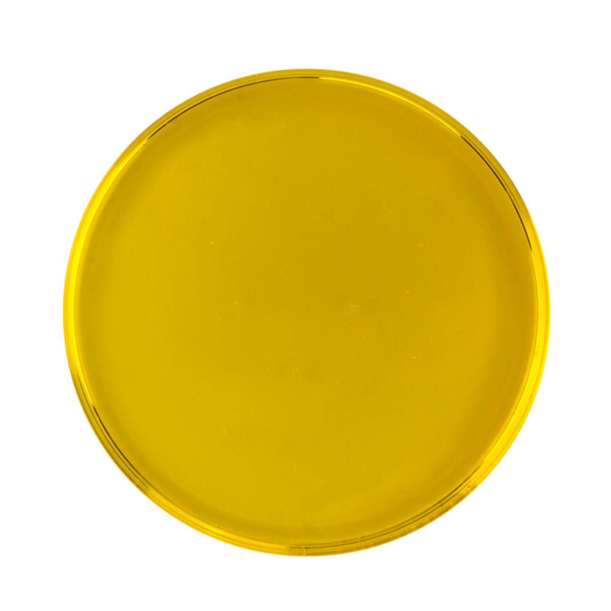 Naturligolie Økologisk Hindbærkerneolie | 30 ml fra Naturligolie på Mecindo.dk