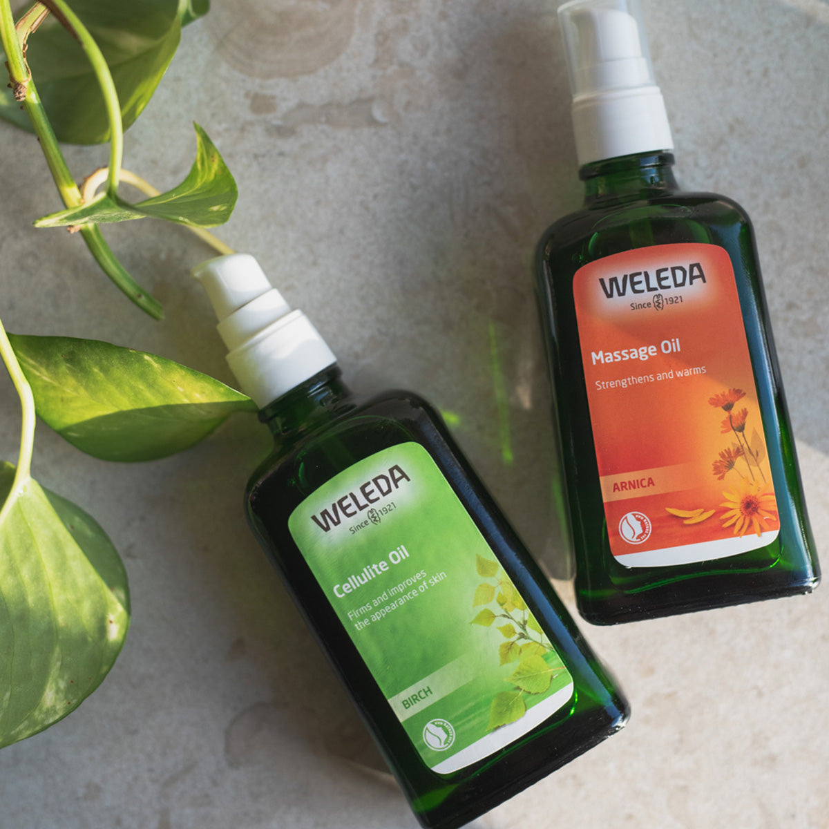 Weleda Birch Cellulite Oil | 100 ml fra Weleda på Mecindo.dk