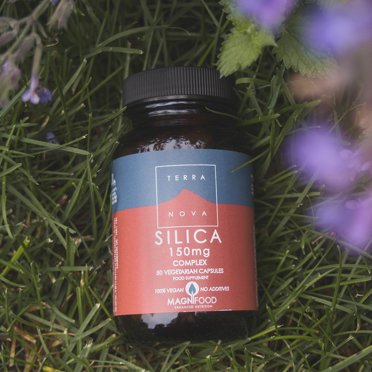 Terranova Silica Complex | 50 kapsler fra Terranova på Mecindo.dk