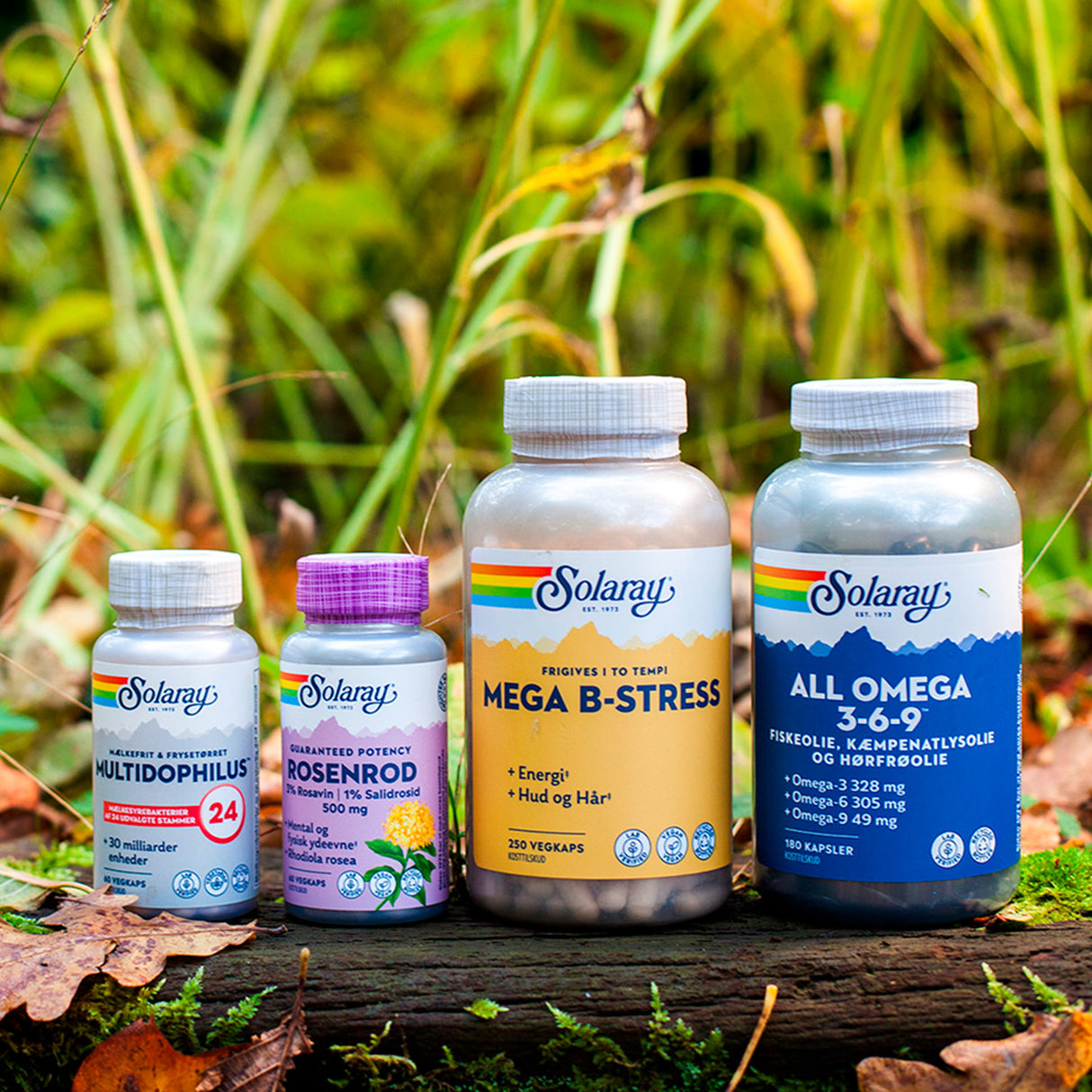 Solaray Rosenrod Gp Ekstrakt | 60 kapsler fra Solaray på Mecindo.dk