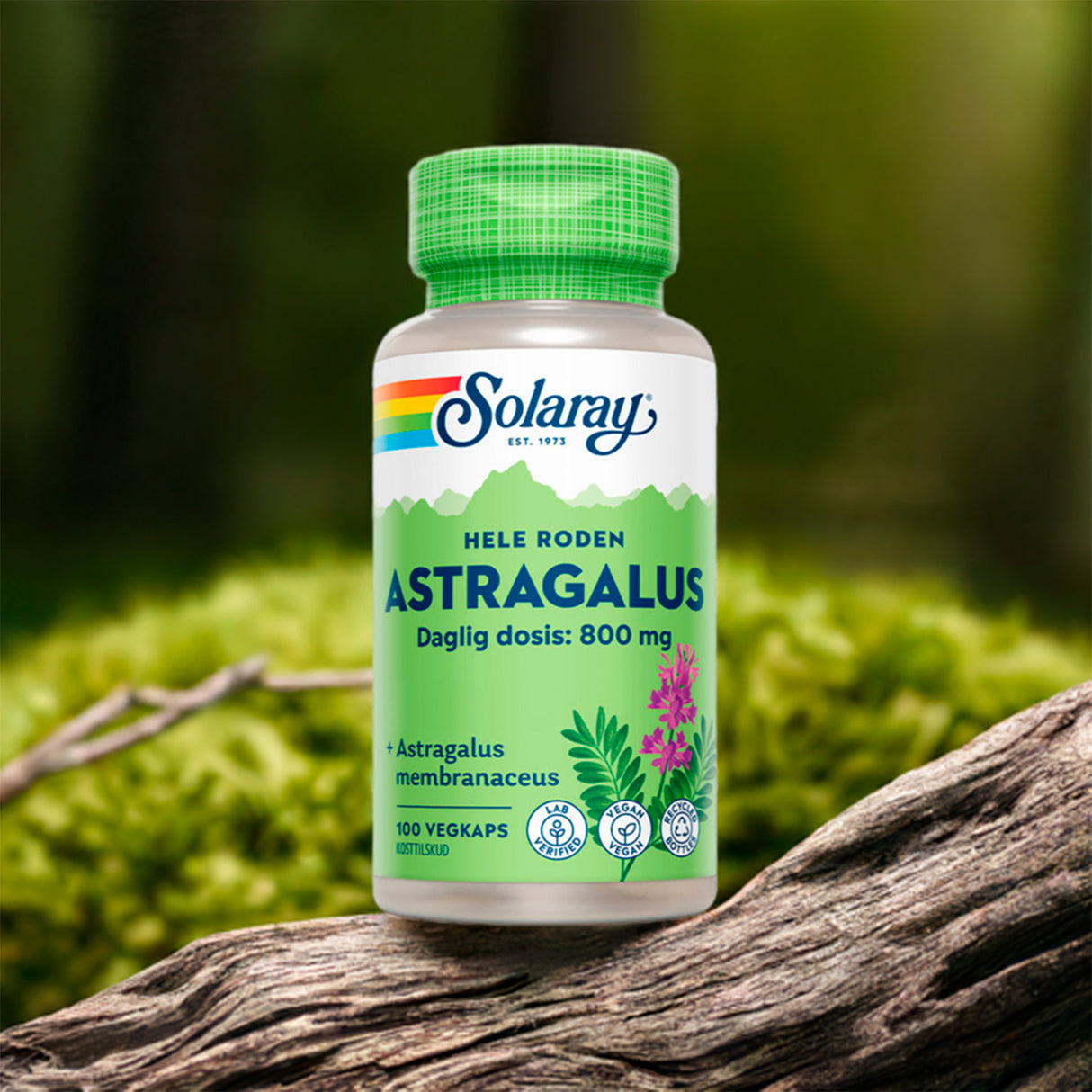 Solaray Astragalus | 100 kapsler fra Solaray på Mecindo.dk