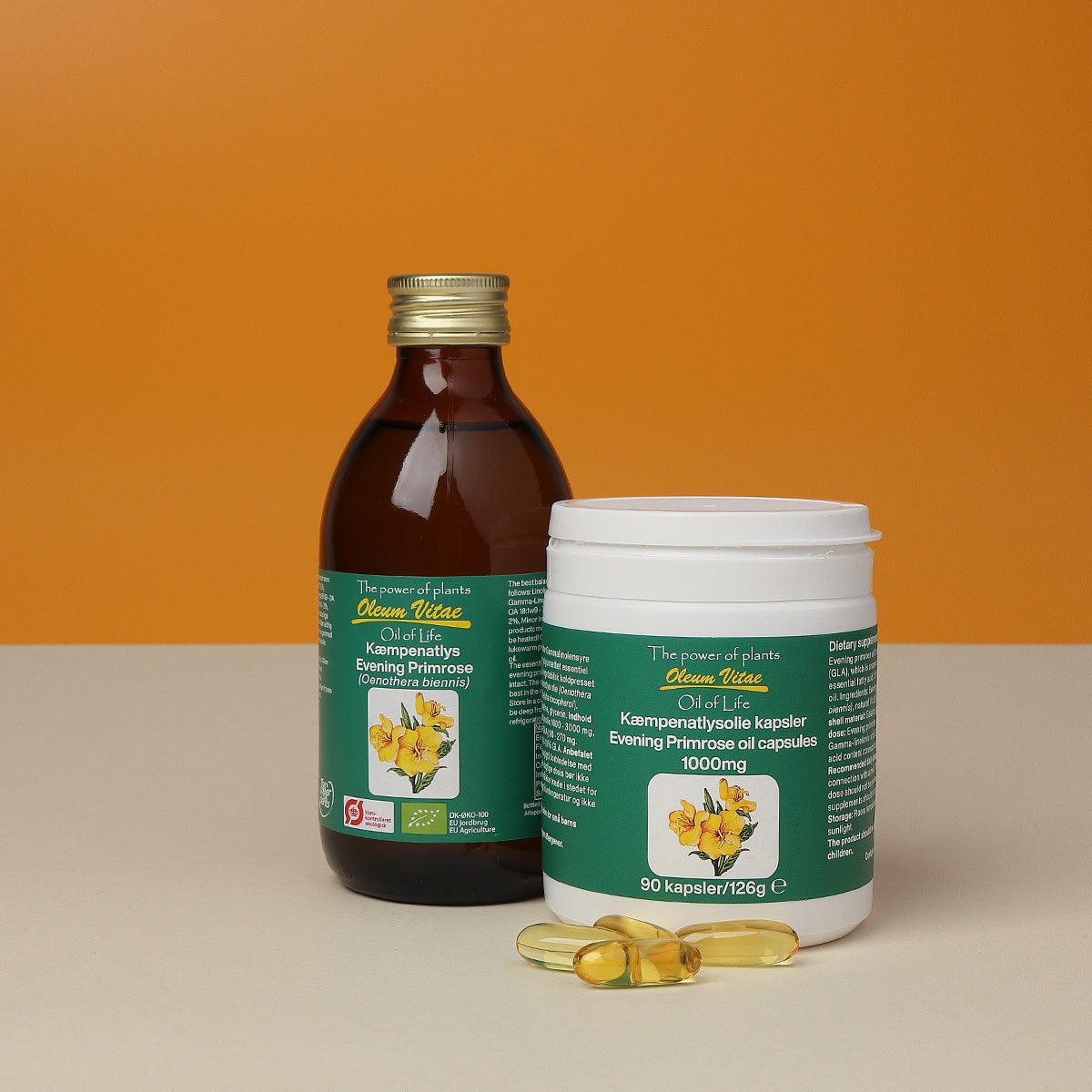 Oil of Life Kæmpenatlysolie Økologisk | 250 ml fra Oil of Life på Mecindo.dk