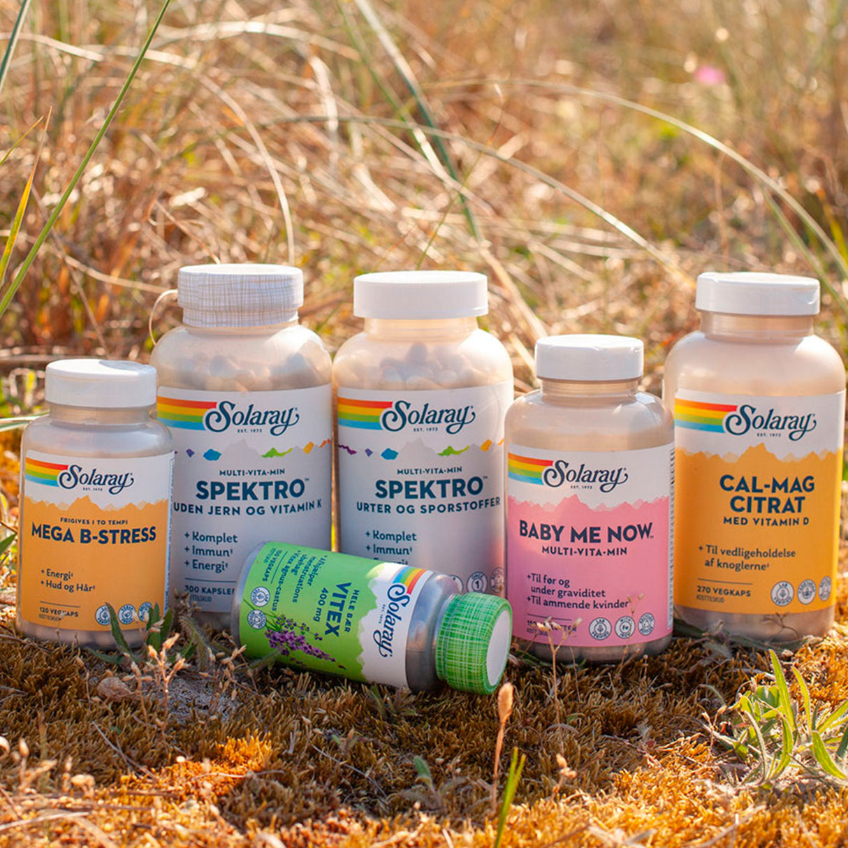 Solaray Baby-me-now Multi-vitamin | 150 Tabl. fra Solaray på Mecindo.dk