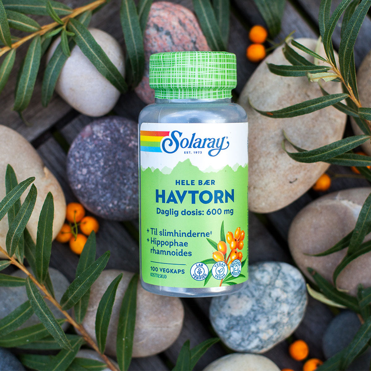Solaray Havtorn | 100 kapsler fra Solaray på Mecindo.dk