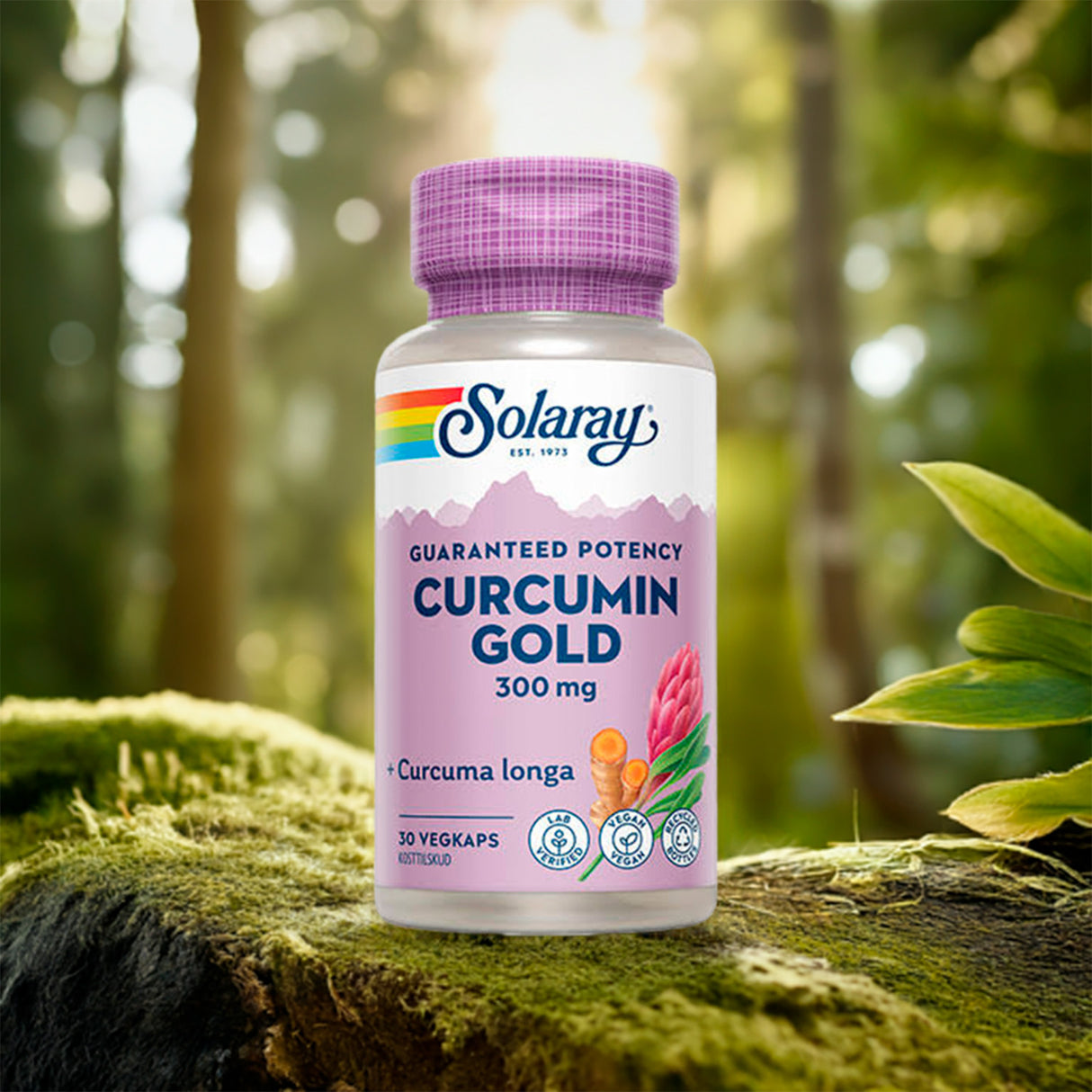 Solaray Curcumin Gold | 30 kapsler fra Solaray på Mecindo.dk