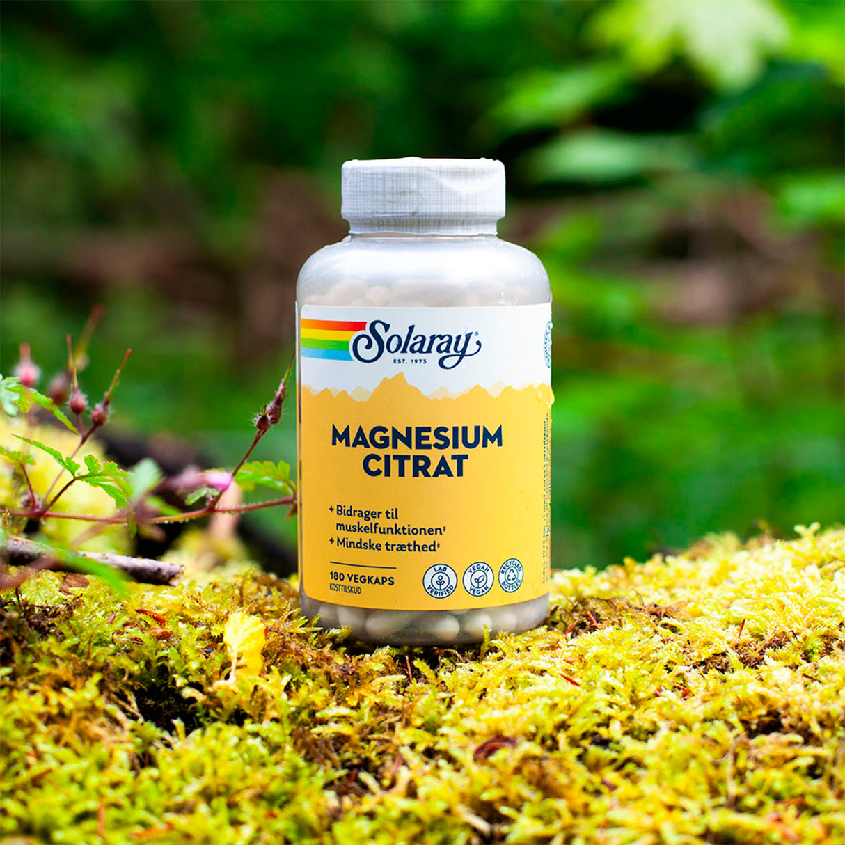 Solaray Magnesium Citrat | 90 kapsler fra Solaray på Mecindo.dk