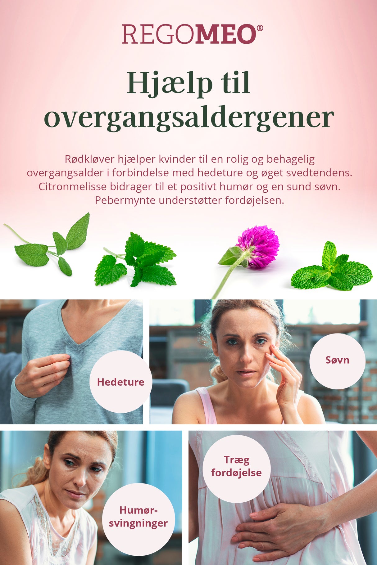 Herrens Mark Regomeo Rødkløverekstrakt Ø | 2 ltr fra Herrens Mark på Mecindo.dk