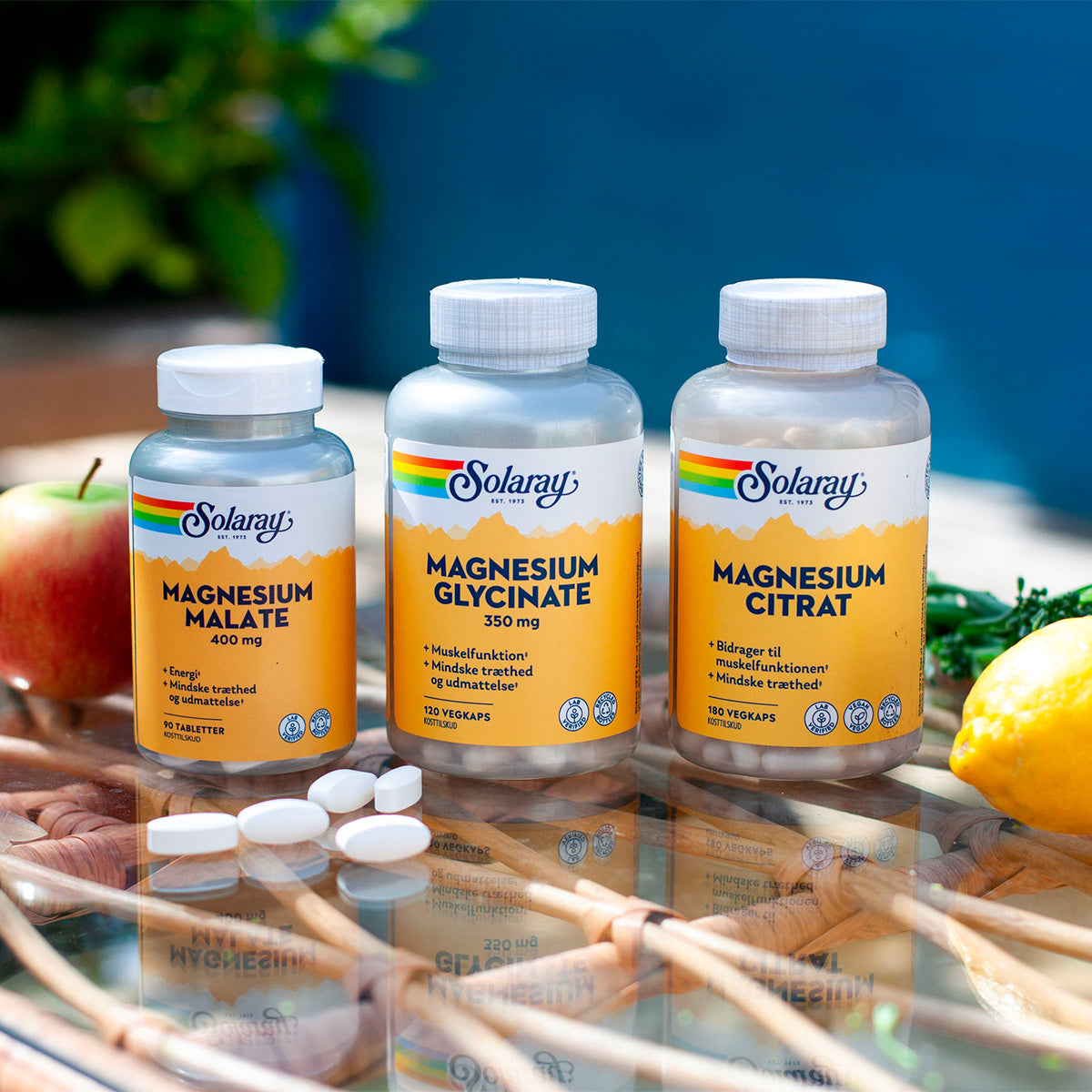 Solaray Magnesium Glycinate | 120 kapsler fra Solaray på Mecindo.dk