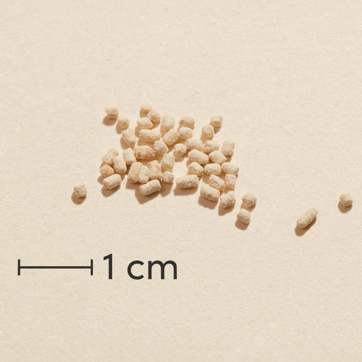 Biosym Omniomega Lecithin | 300 gr fra Biosym på Mecindo.dk