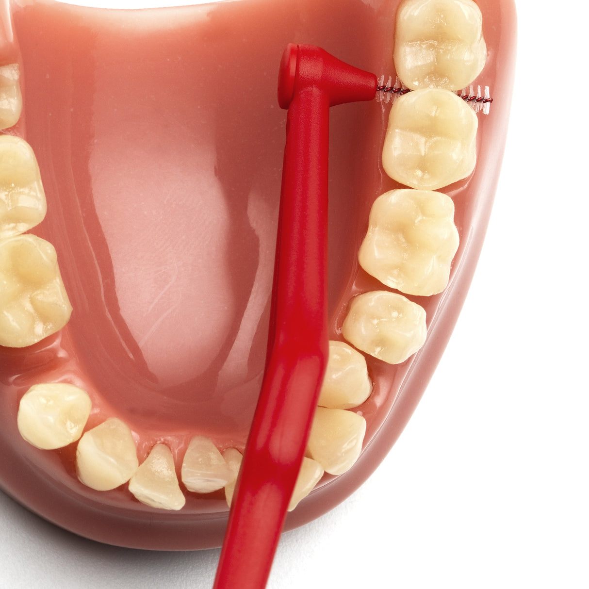TePe Angle Mellemrumstandbørster Rød | 6 stk fra TePe på Mecindo.dk