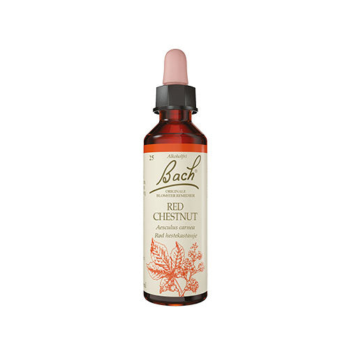 Bach Dråber Rød Hestekastanie | 10 ml fra Bach Originale Blomsterremedier på Mecindo.dk