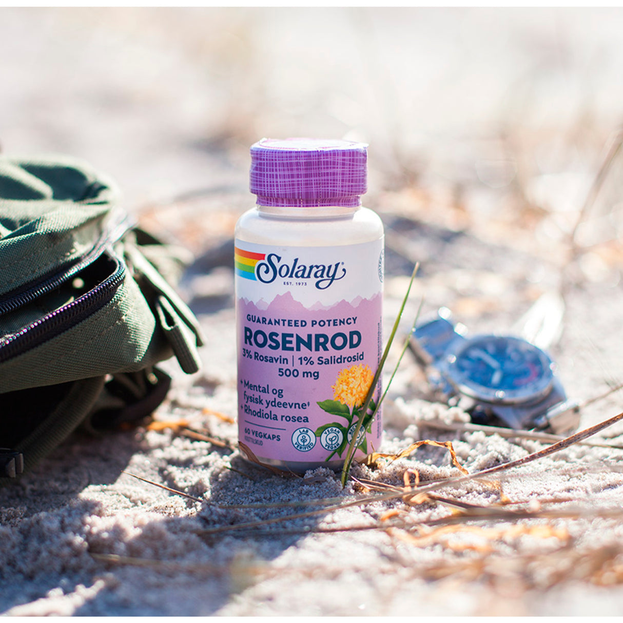 Solaray Rosenrod Gp Ekstrakt | 60 kapsler fra Solaray på Mecindo.dk