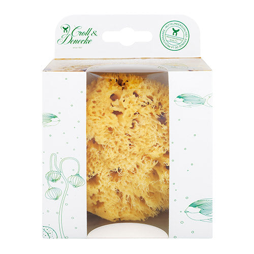 Croll & Denecke Natursvamp (12 Cm) I Æske fra Croll & Denecke på Mecindo.dk