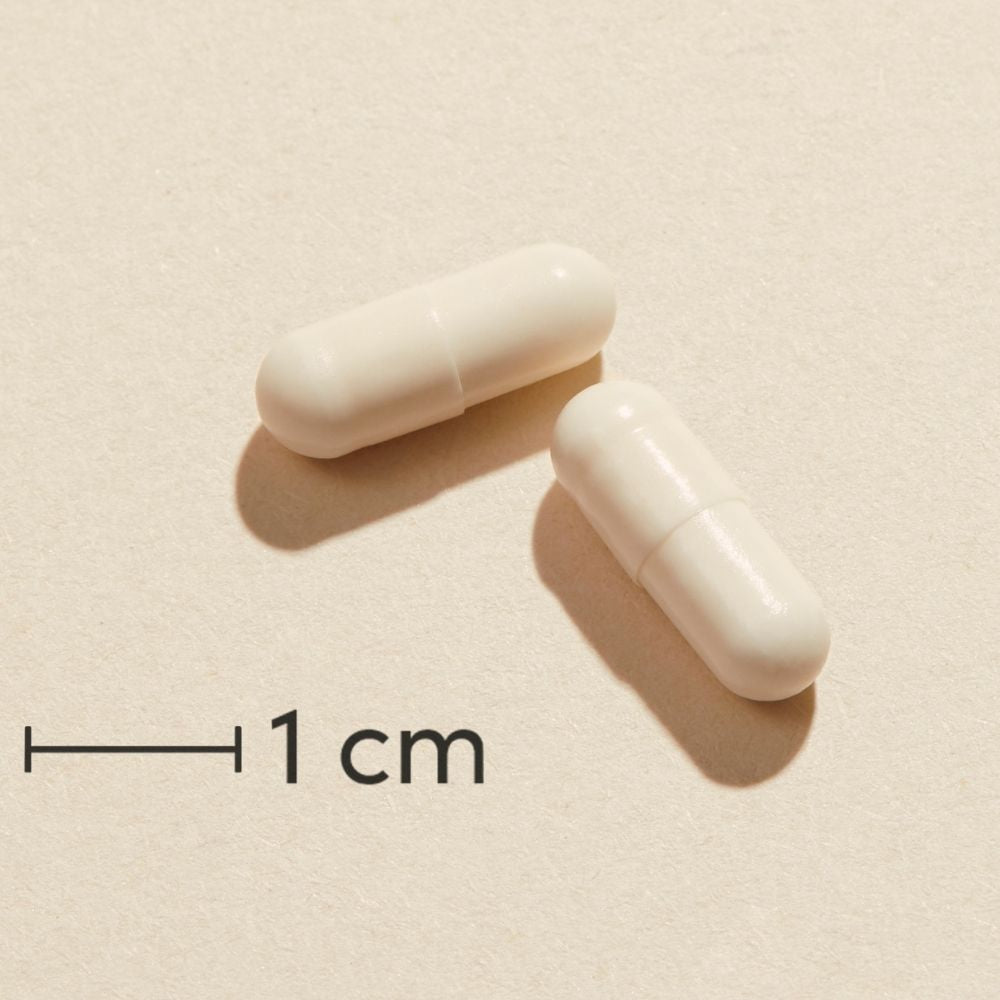 Biosym Symbioflor+ | 250 kapsler fra Biosym på Mecindo.dk