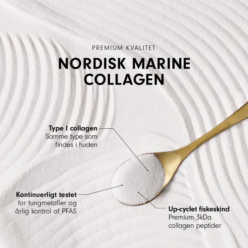 VILD NORD Collagen Gold | 165 gr fra VILD NORD på Mecindo.dk