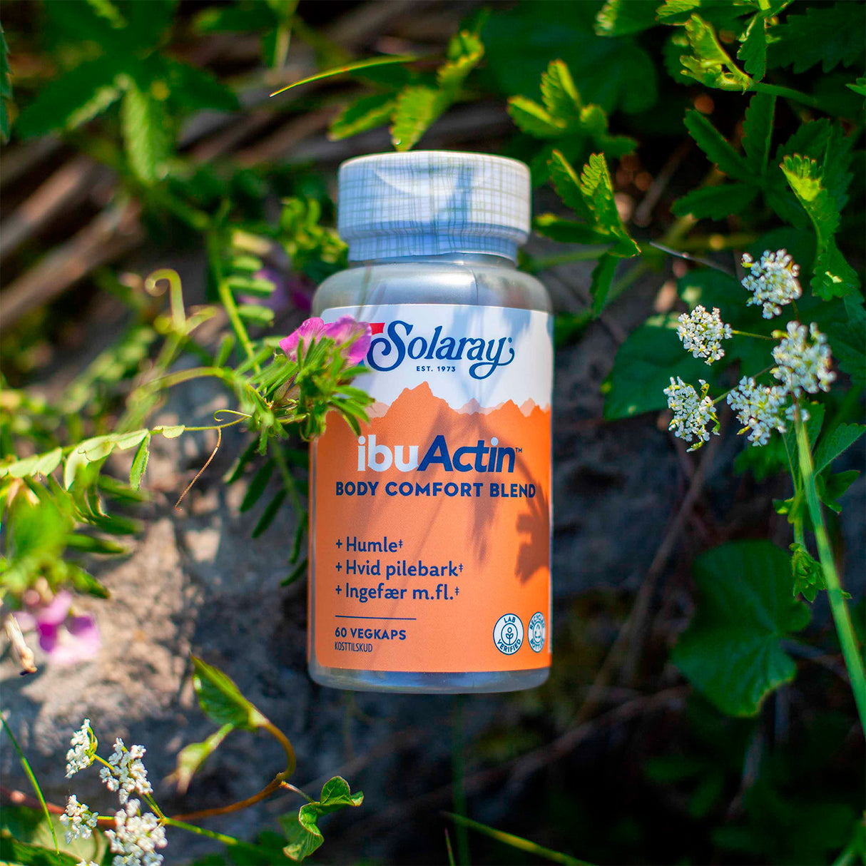 Solaray Ibuactin | 60 kapsler fra Solaray på Mecindo.dk