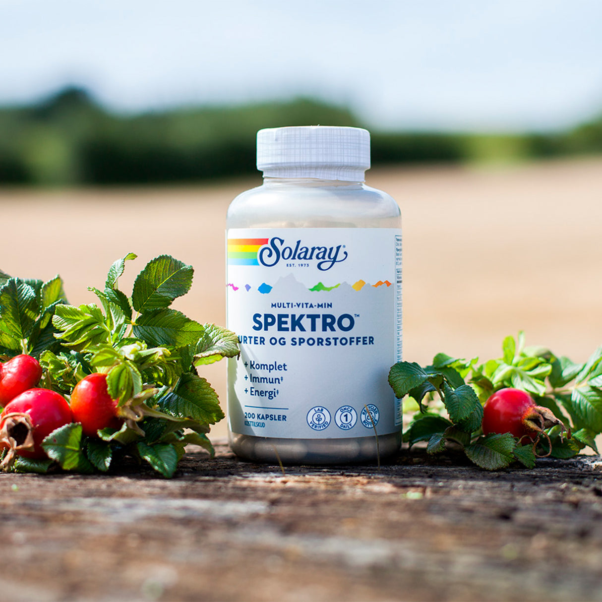 Solaray Spektro Multivitamin M. Jern Og K2 | 200 kapsler fra Solaray på Mecindo.dk