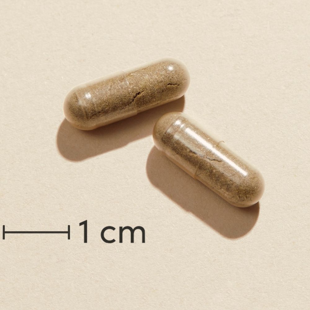 Biosym Omnijern | 60 kapsler fra Biosym på Mecindo.dk