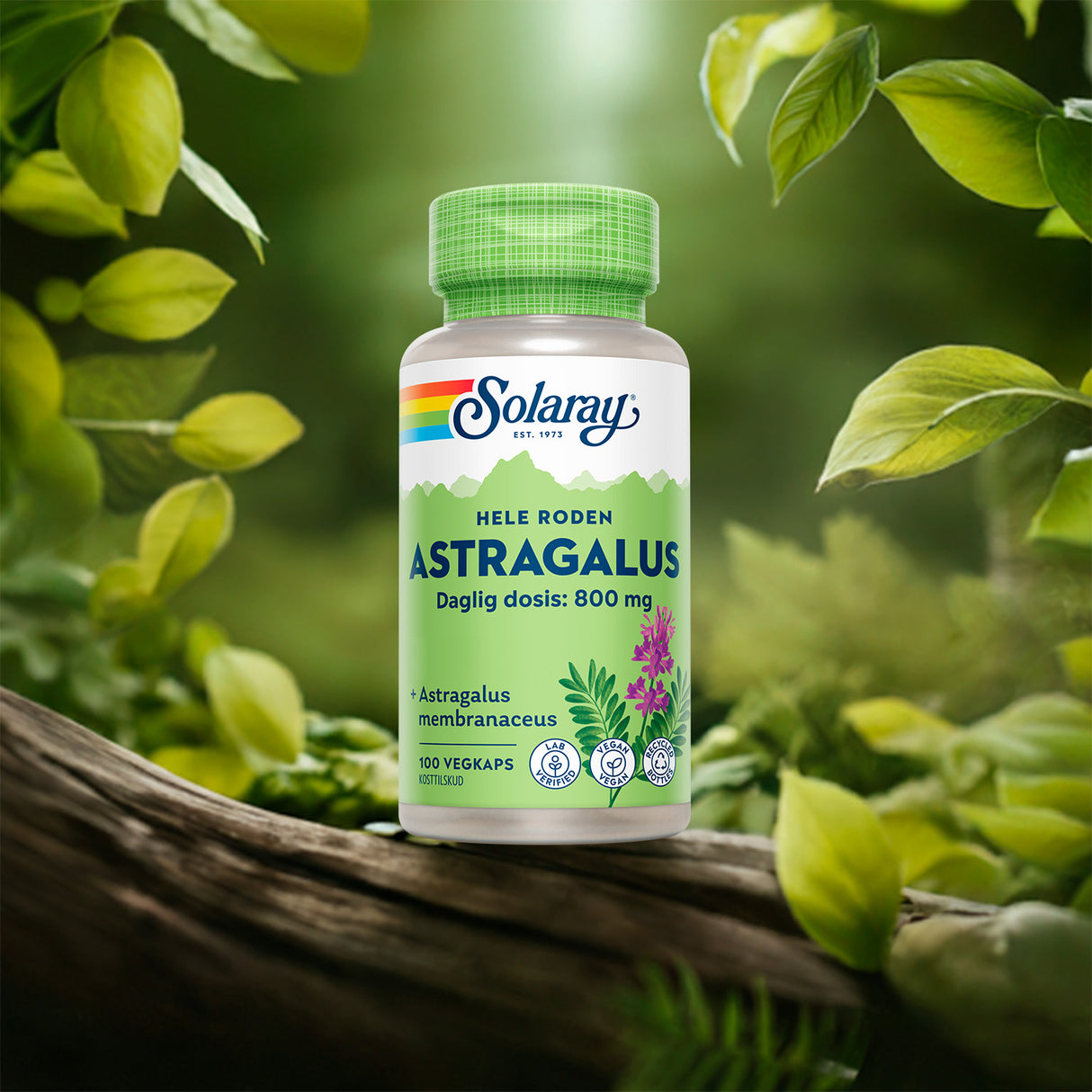 Solaray Astragalus | 100 kapsler fra Solaray på Mecindo.dk